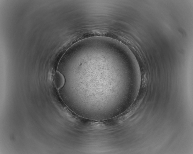 X0000112740424200909031510