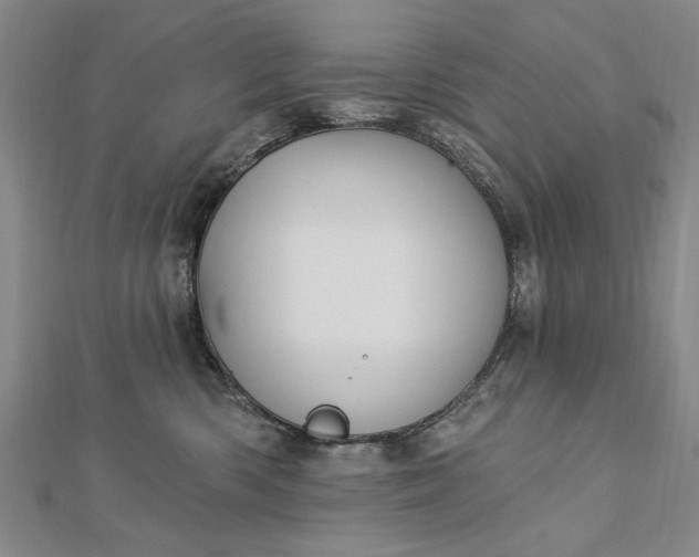 X0000112740426200909031510