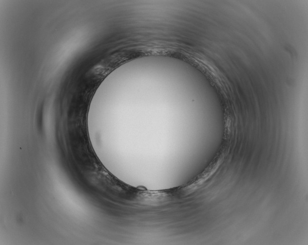 X0000112740429200909031510