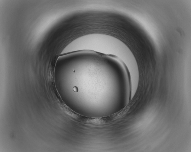 X0000112740431200909031510