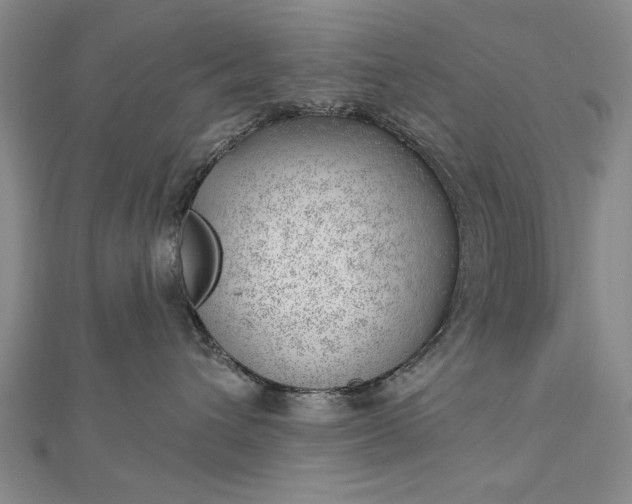 X0000112740432200909031510