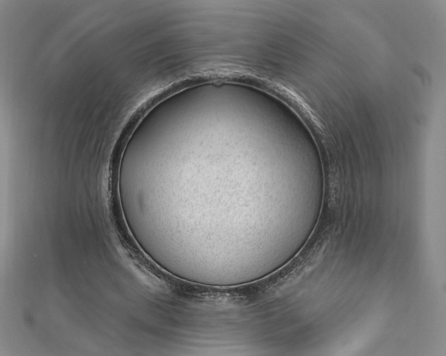 X0000112740439200909031509