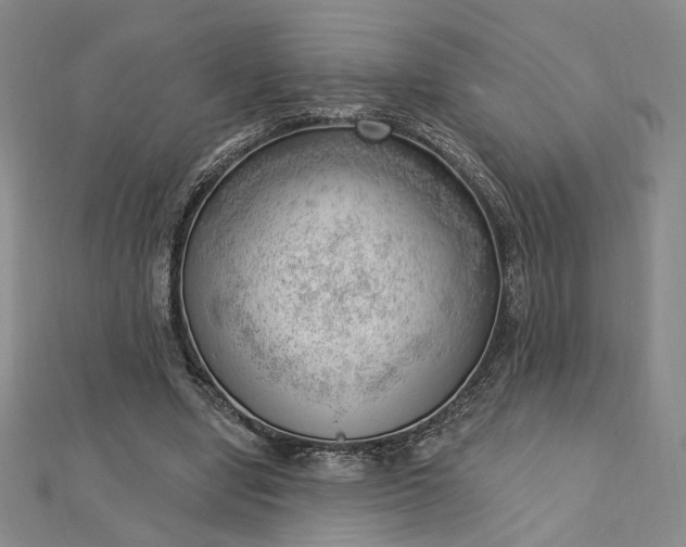 X0000112740442200909031509