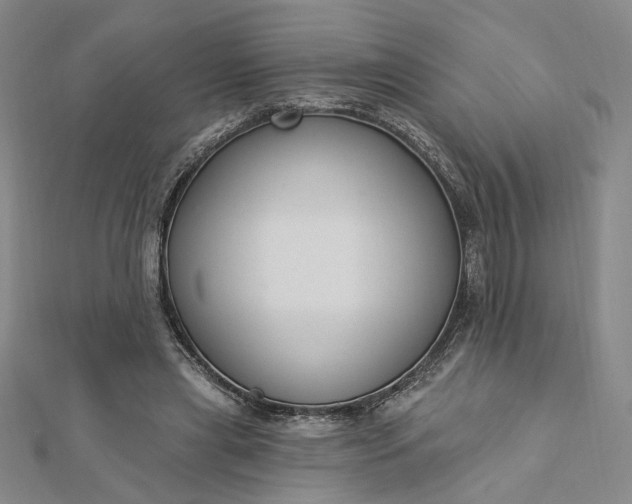 X0000112740445200909031509