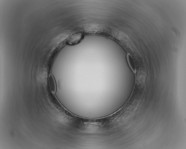 X0000112740448200909031509