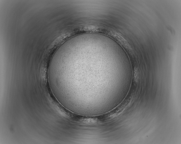 X0000112740449200909031509