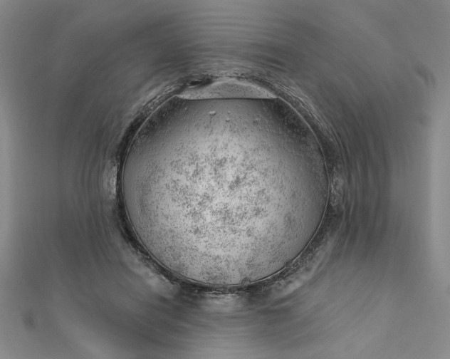 X0000112740454200909031509