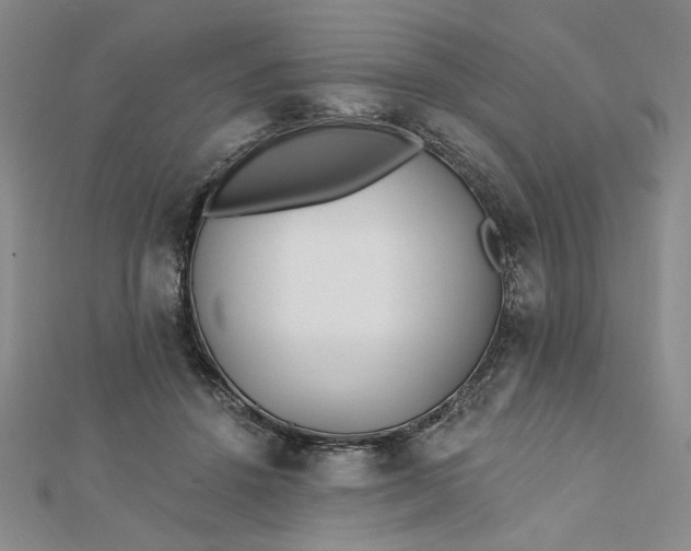 X0000112740456200909031509