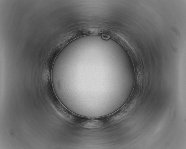 X0000112740459200909031509