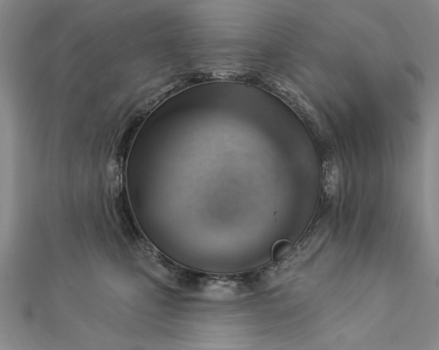 X0000112740471200909031509