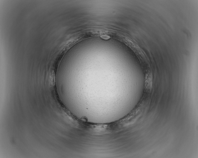 X0000112740474200909031510