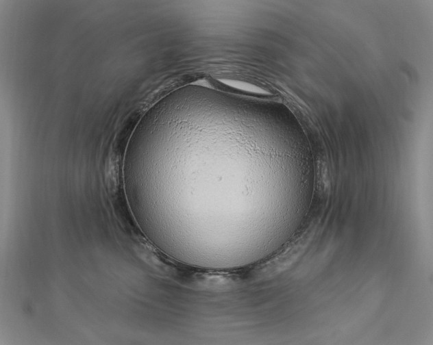 X0000112740475200909031510