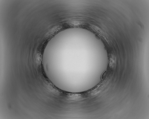 X0000112740476200909031510