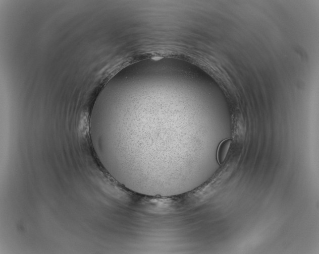 X0000112740478200909031510