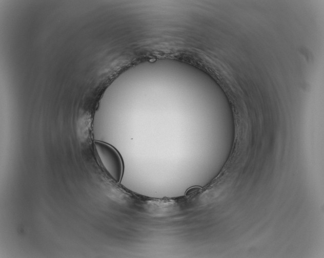 X0000112740480200909031510