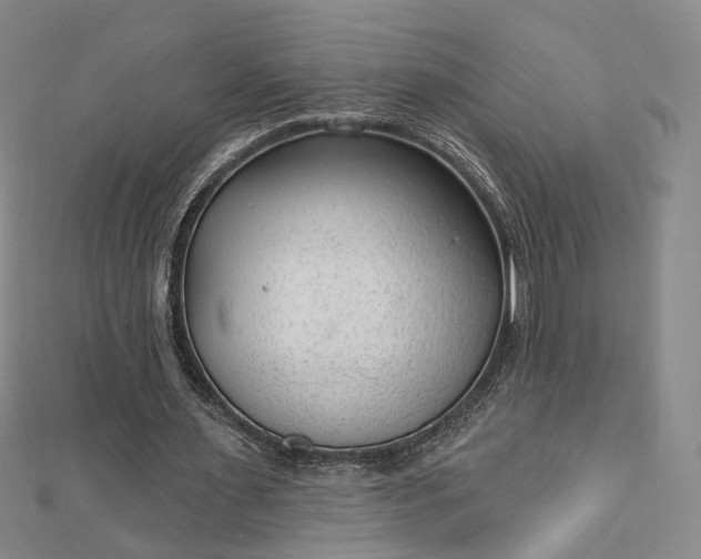 X0000112740483200909031509