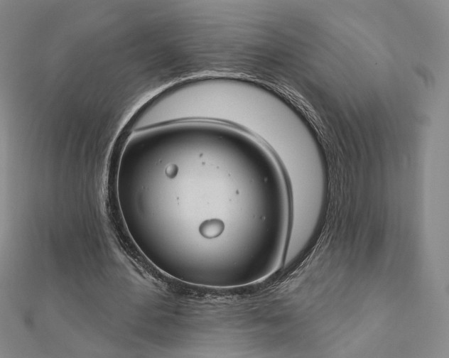 X0000112740484200909031509