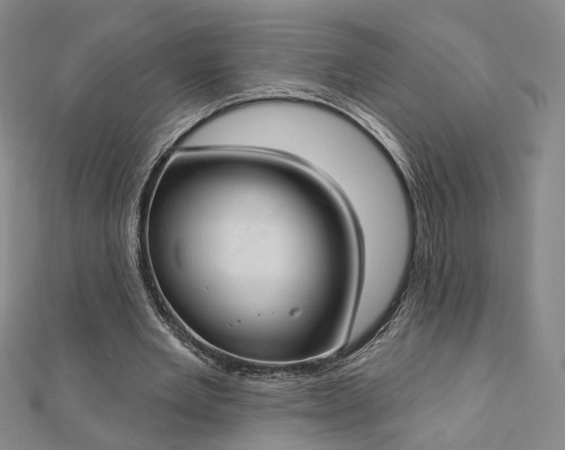 X0000112740485200909031509