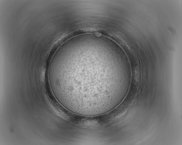 X0000112740491200909031509