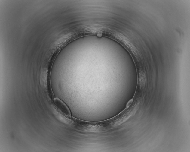 X0000112740493200909031509