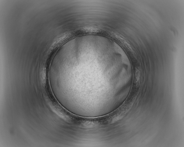 X0000112740494200909031509