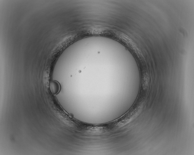 X0000112740497200909031509