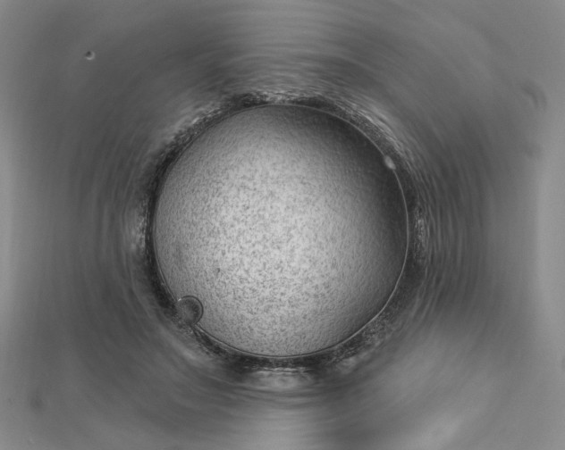 X0000112740499200909031509