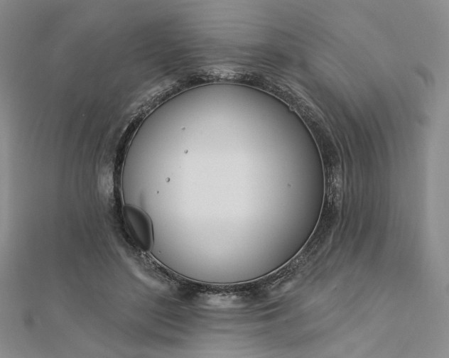 X0000112740500200909031509