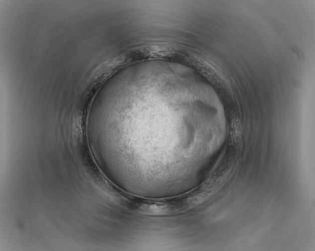 X0000112740506200909031509