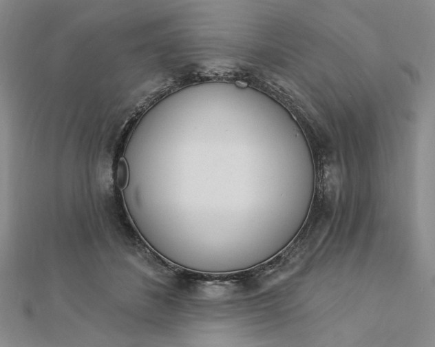 X0000112740508200909031509