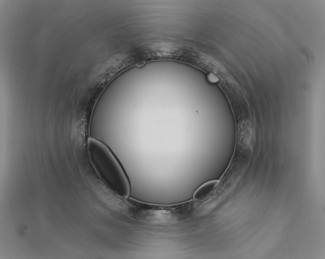 X0000112740509200909031509