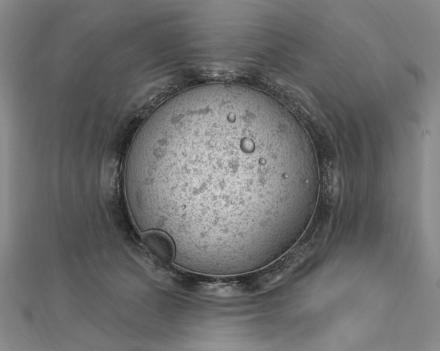 X0000112740511200909031509