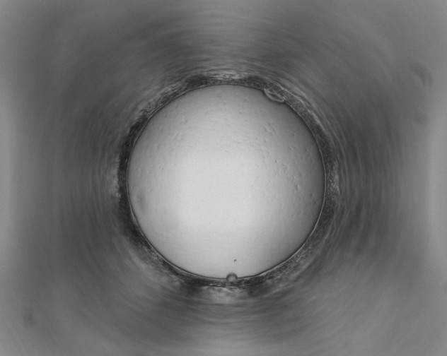 X0000112740512200909031509