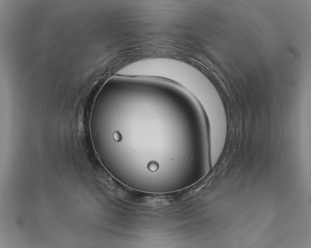 X0000112740520200909031508