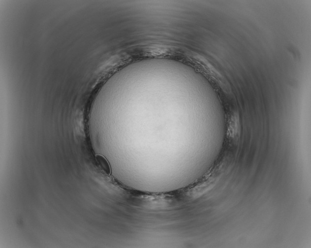 X0000112740524200909031508