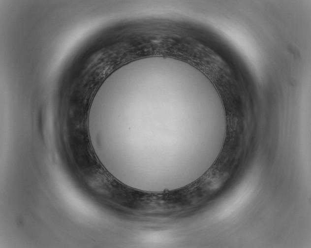 X0000112740526200909031508