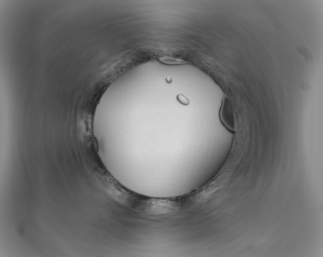 X0000112740528200909031508