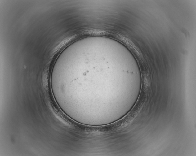 X0000112740533200909031508