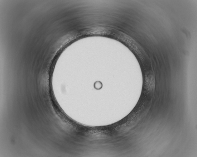 X0000112740534200909031508