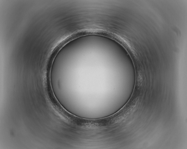 X0000112740535200909031508