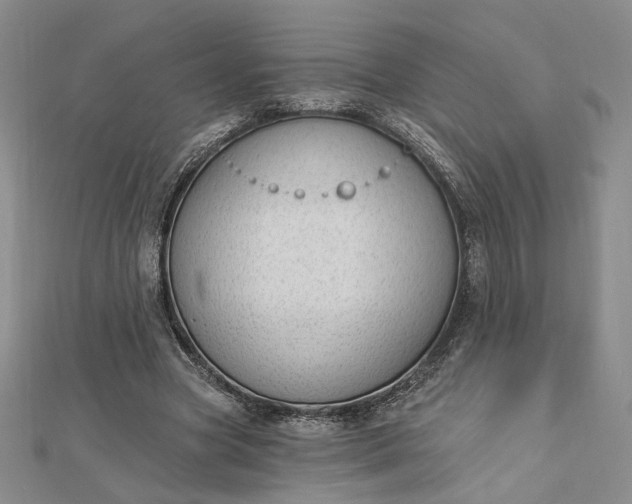 X0000112740537200909031508