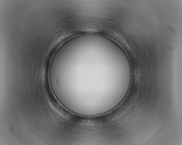 X0000112740538200909031508