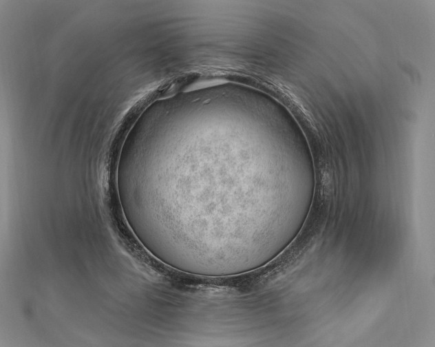 X0000112740539200909031508