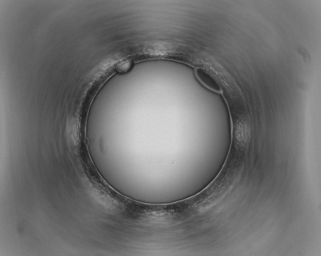 X0000112740540200909031508