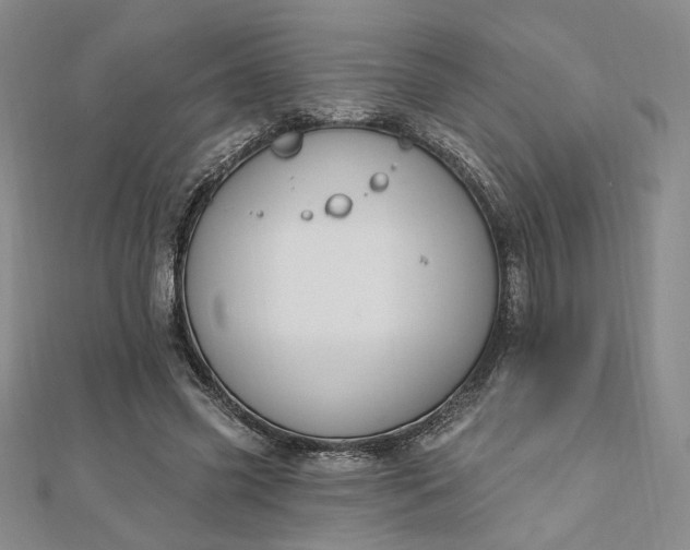 X0000112740541200909031508