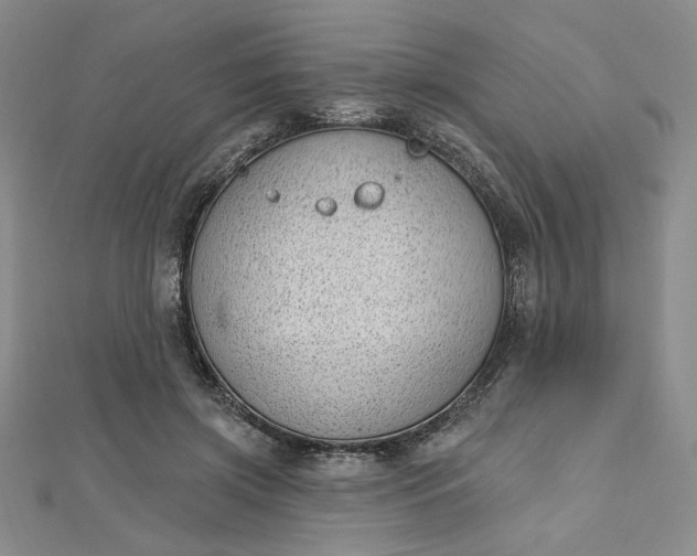 X0000112740549200909031508