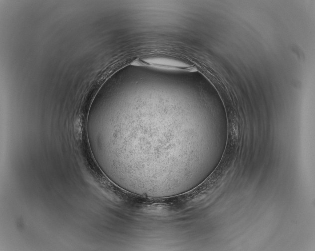 X0000112740551200909031508