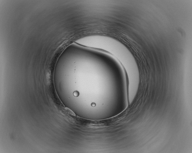 X0000112740556200909031508