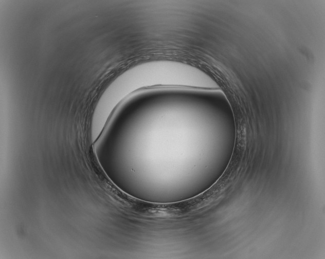 X0000112740558200909031508