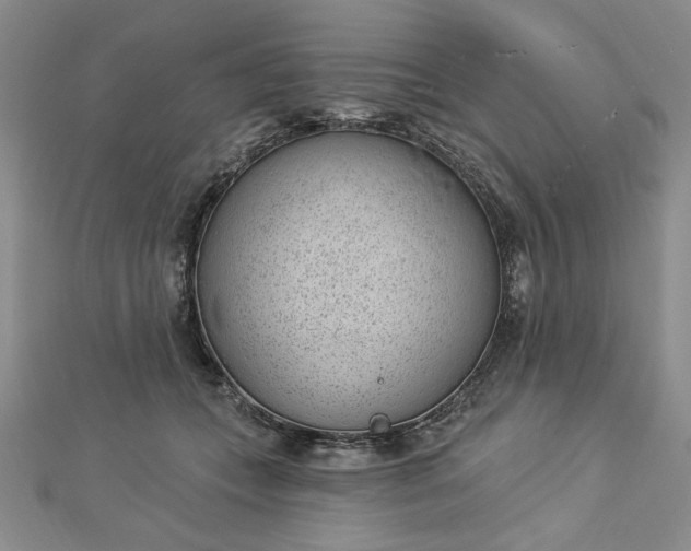 X0000112740559200909031508